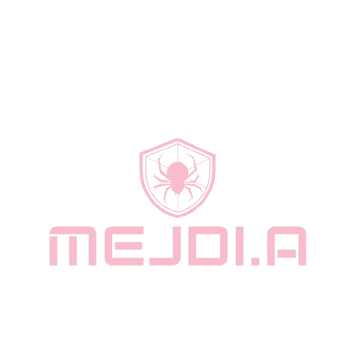 Logo Mejdi